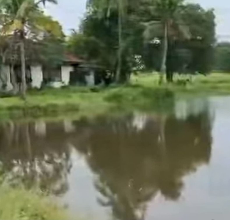 ✨ New Instruction FOR SALE 🏡🎣🌿🇹🇭 ✨ Fishing Lake Land – Udon Thani Thailand 