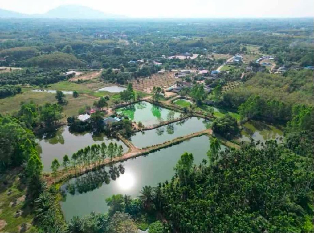 🔥 NEW INSTRUCTION — FISH FARM FOR SALE! 🔥  🐟🏡 FISH FARM & PROPERTY FOR SALE — RAYONG, THAILAND 🇹