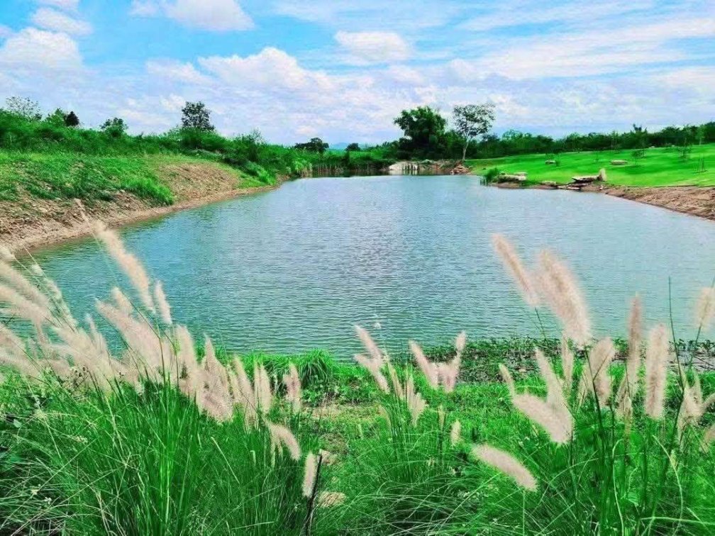 ⭐️ ⭐️ ⭐️ ⭐️ ⭐️ New Instruction 🏔️ 🌄 🪴   🏕️🌄🌿 Rare Opportunity • Beautiful Land • Khao Yai 🇹🇭✨