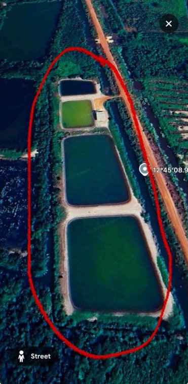 ‼️ New Instruction Alert ‼️ 🐟🌿 Fish & Shrimp Farm Land for Sale in Rayong Thailand  🌿🐟